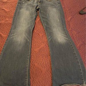 American Eagle Artist Flare Jeans